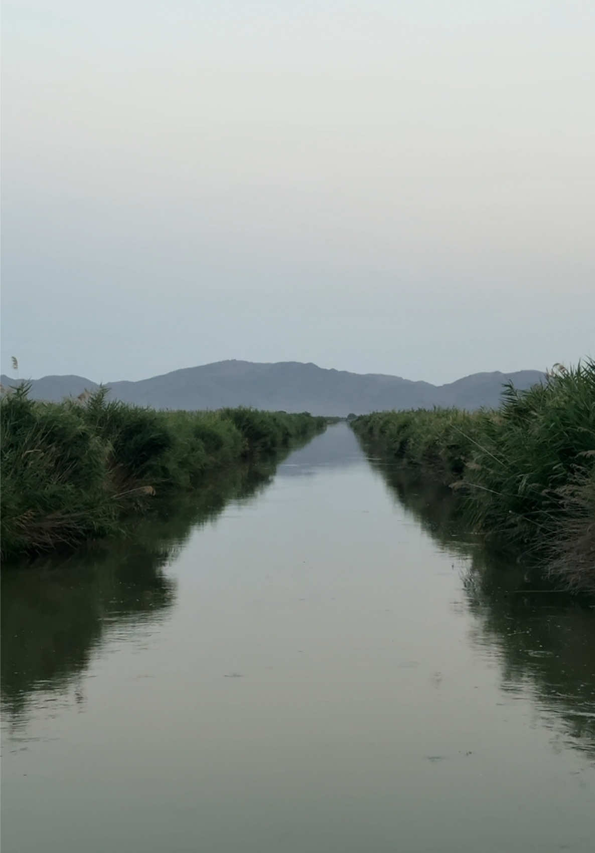 @BurhanRahimliPhotography