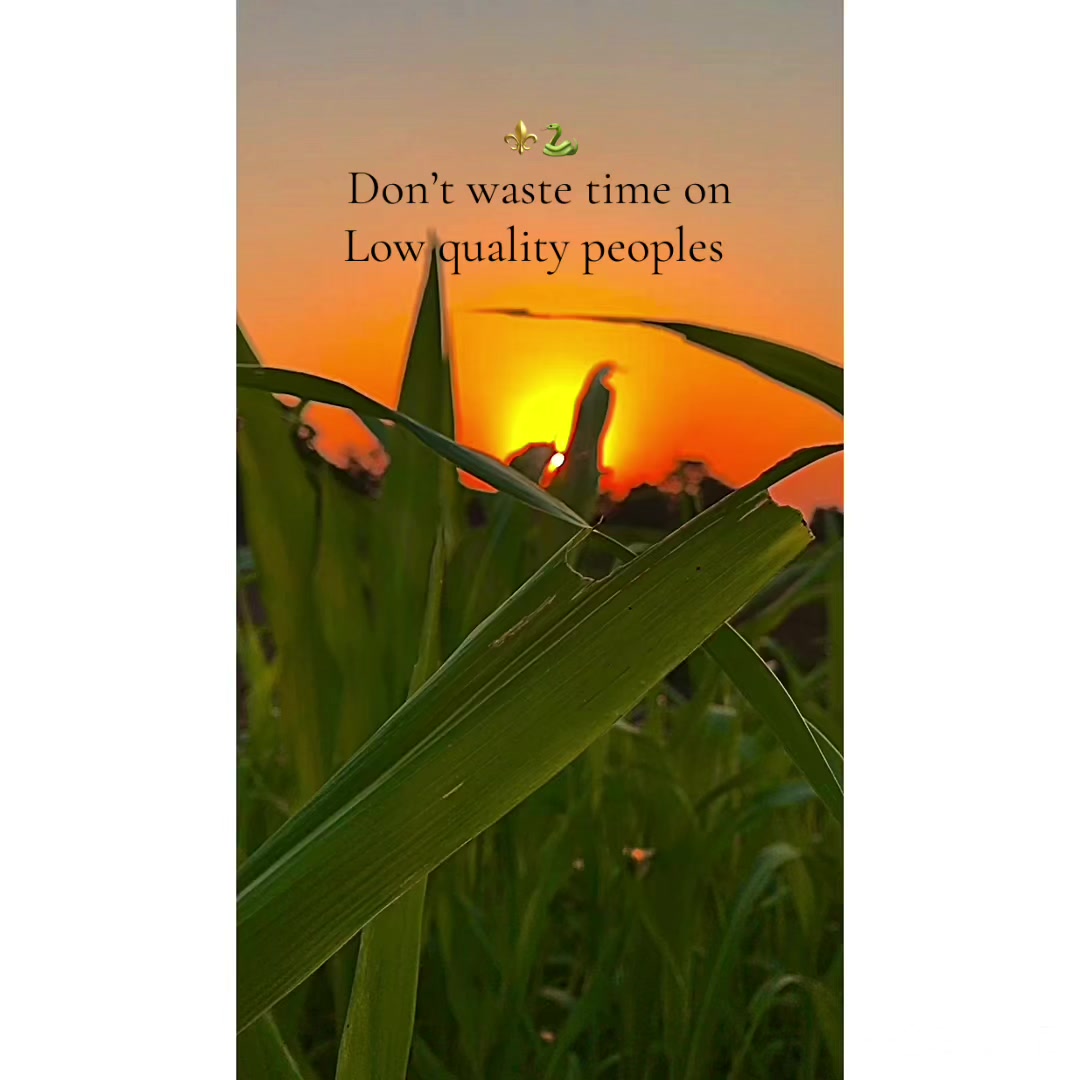 @𝐏𝐔𝐍𝕵𝐀𝐁👳🏻♂️🌾