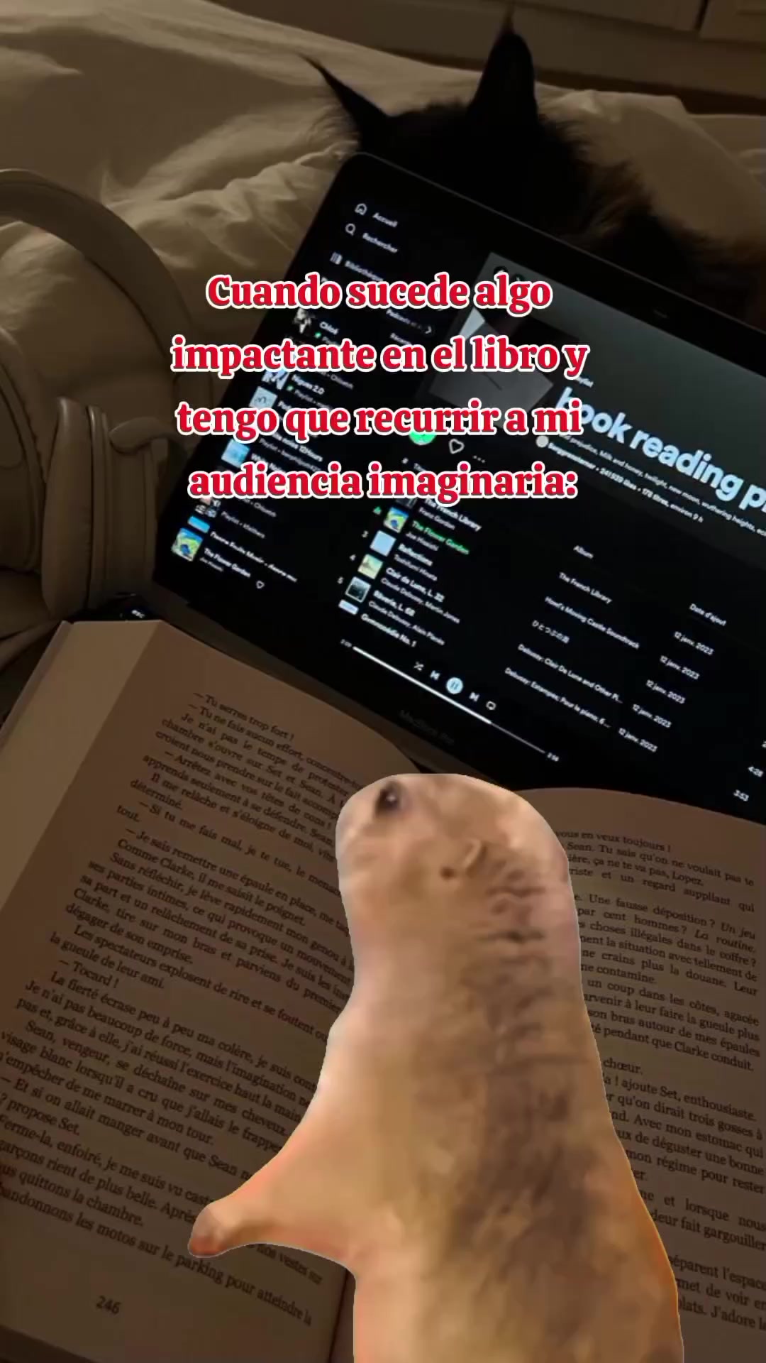@Marisela_N.