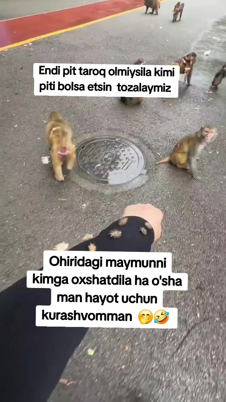@Kulochok Oyi