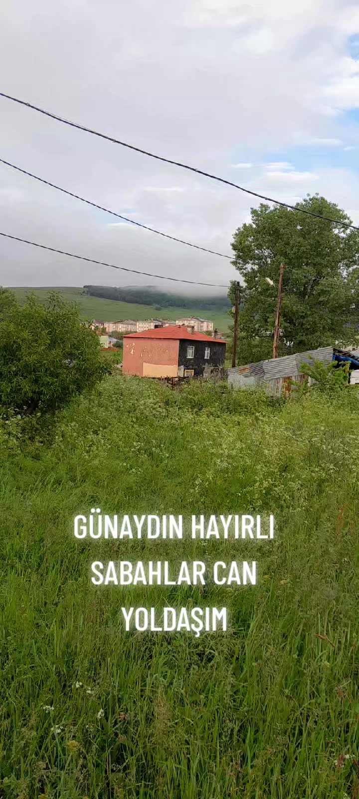 @Hasan Yılmaz