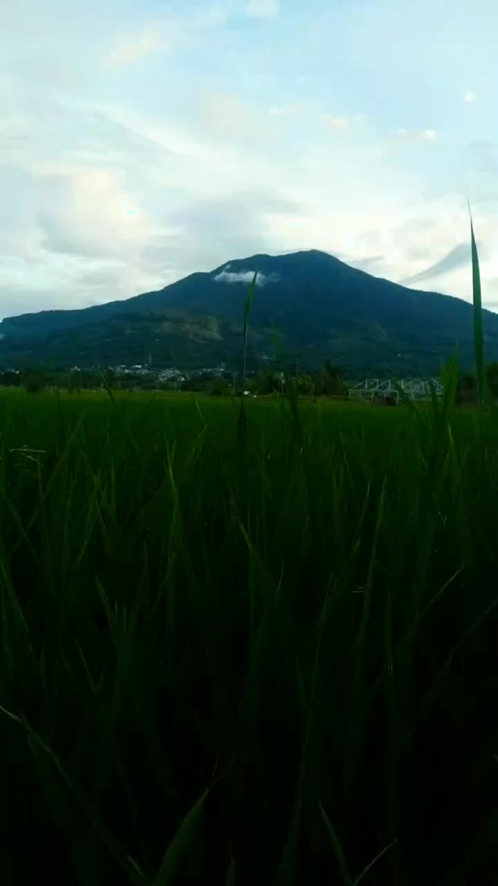 @jamgadangbukittinggitour