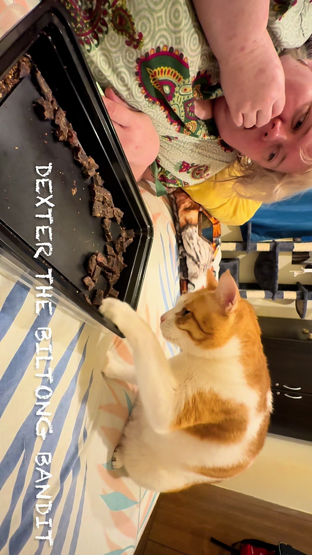 @Father5cats