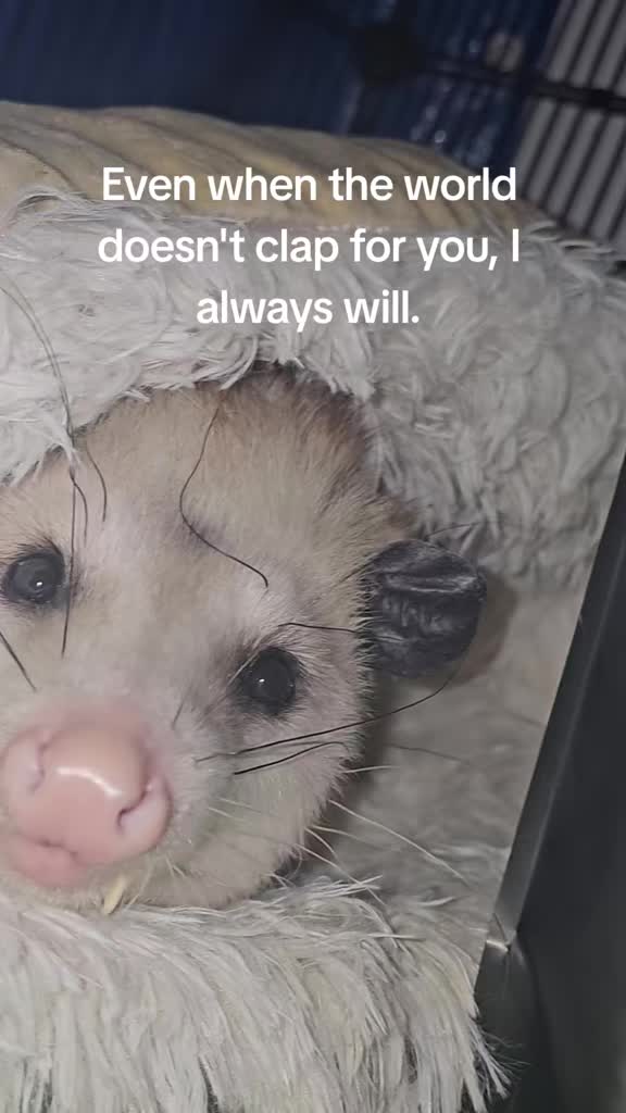 @OPOSSUM/DOG MOMMA Dea