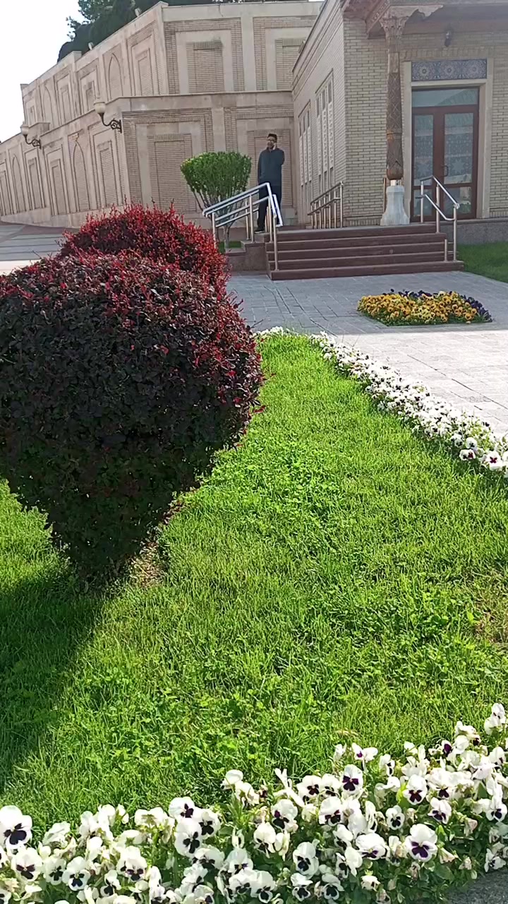 @Сабр