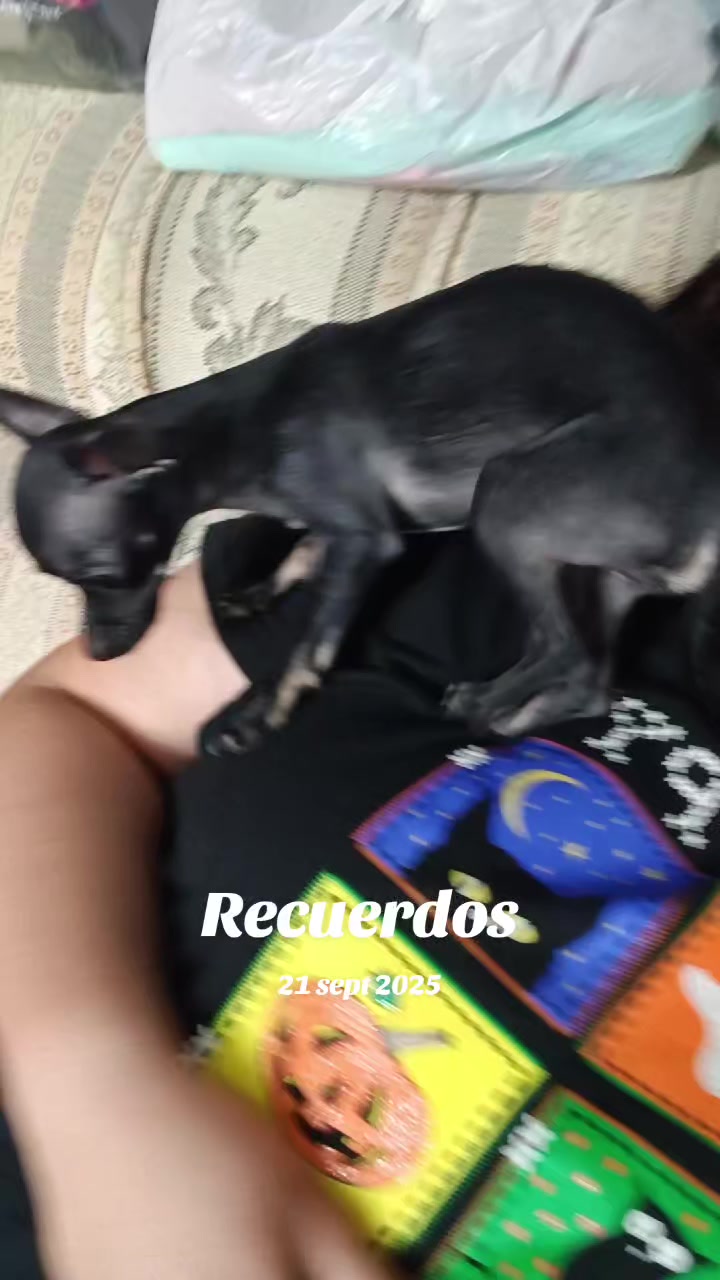 @La Mula Escobedo