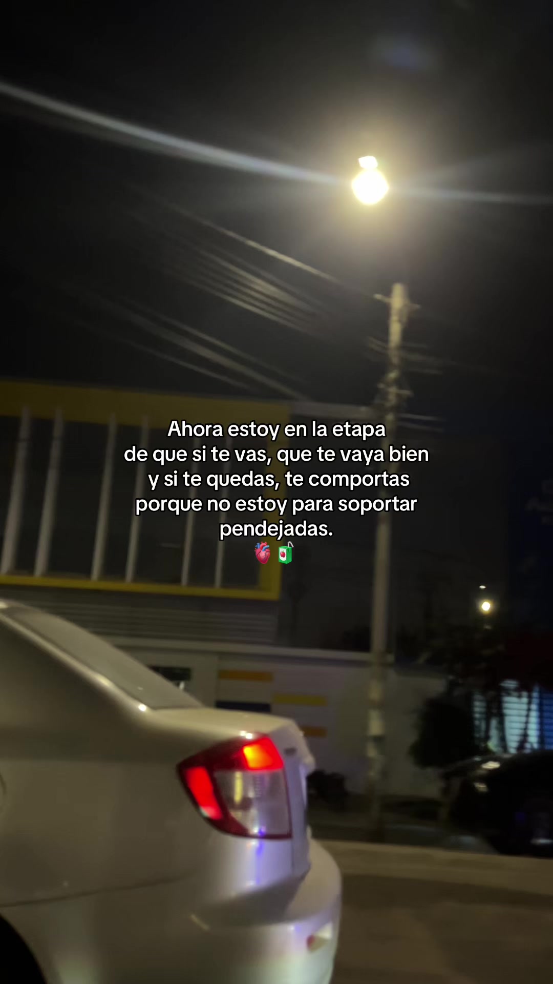 @Gatocix 🐱