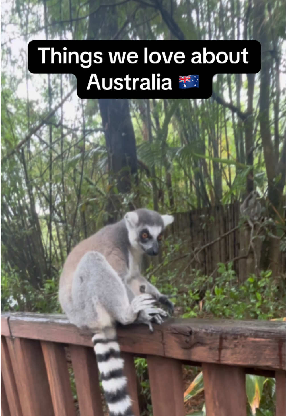 @jetlaggedkiwis