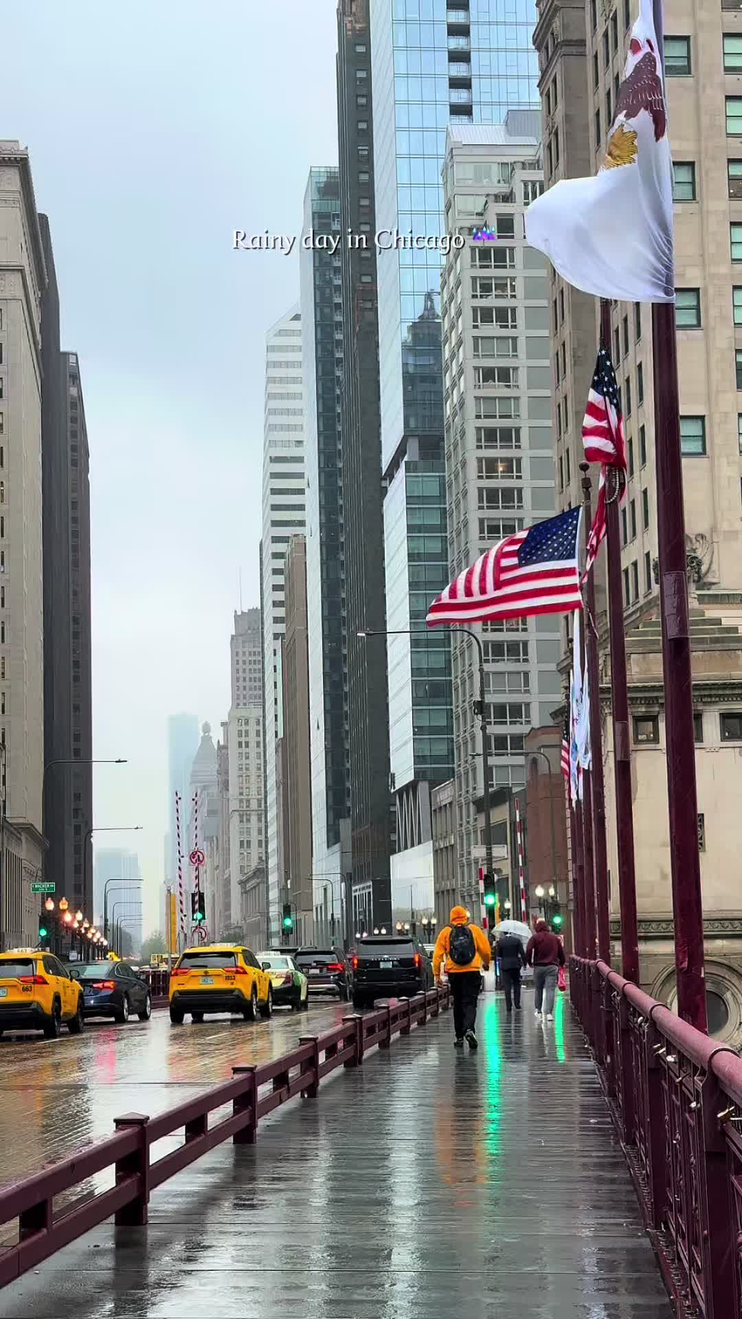 @windy_citychicago