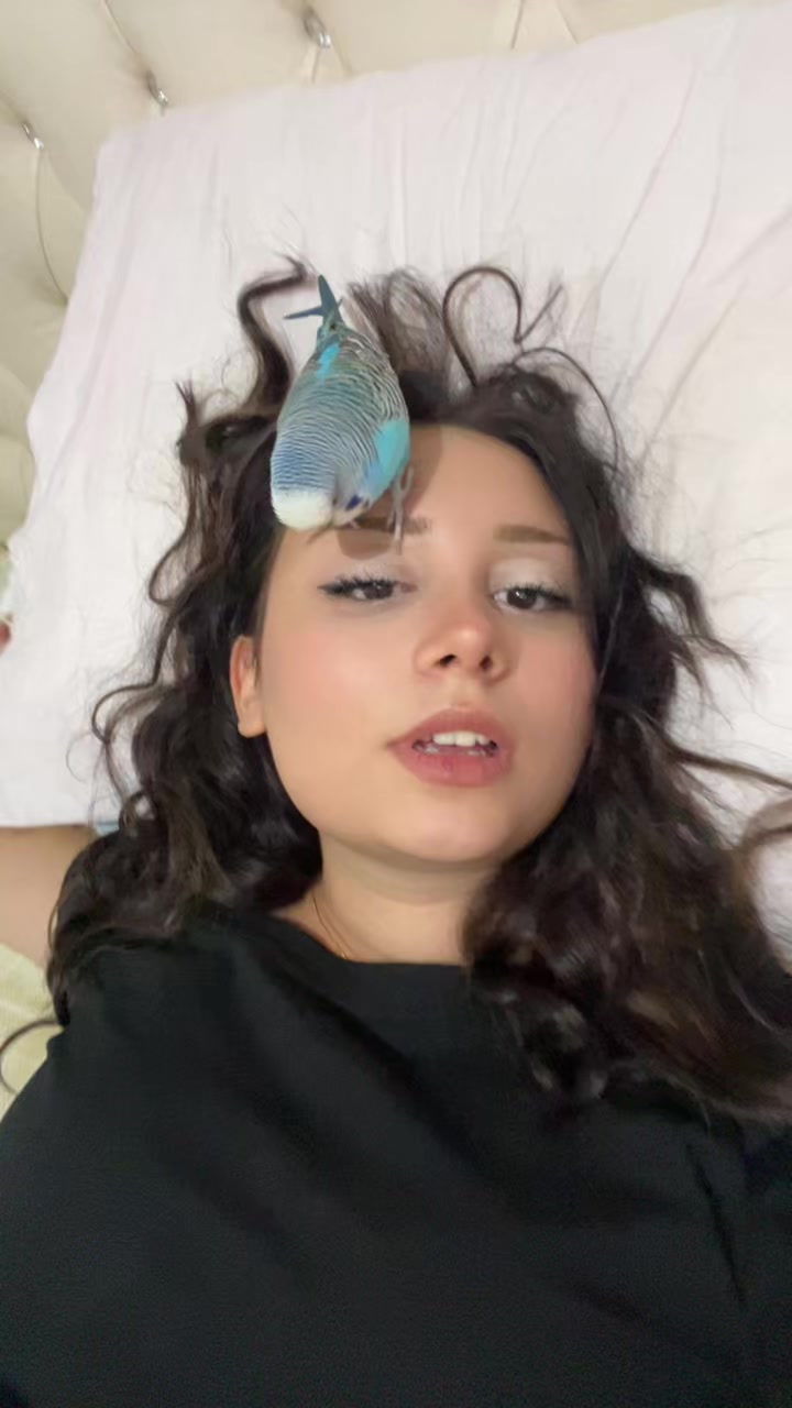 @nicesu