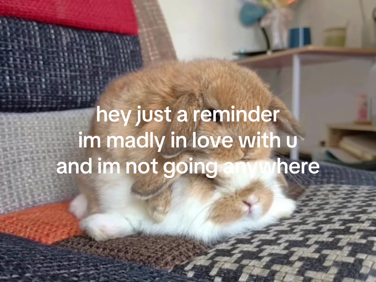 @alittlemore