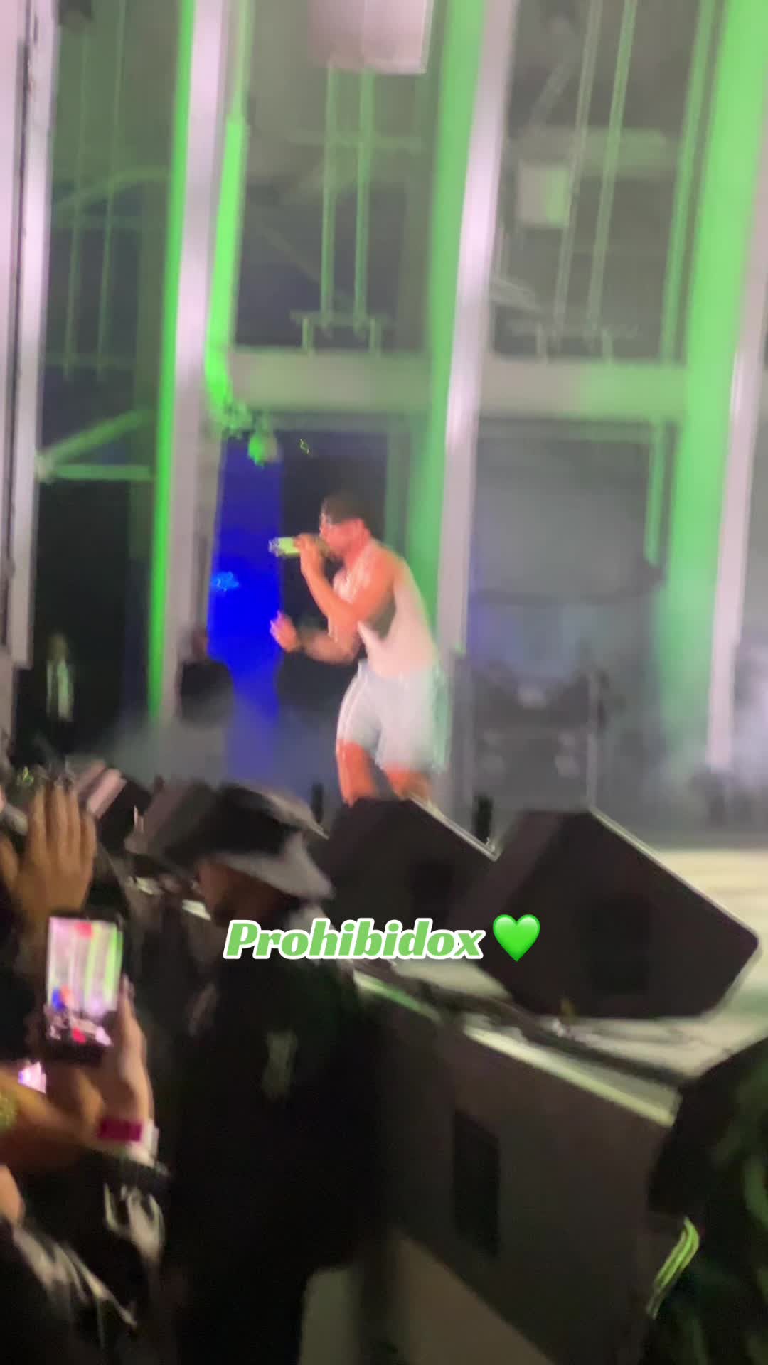 @lulu ochoa