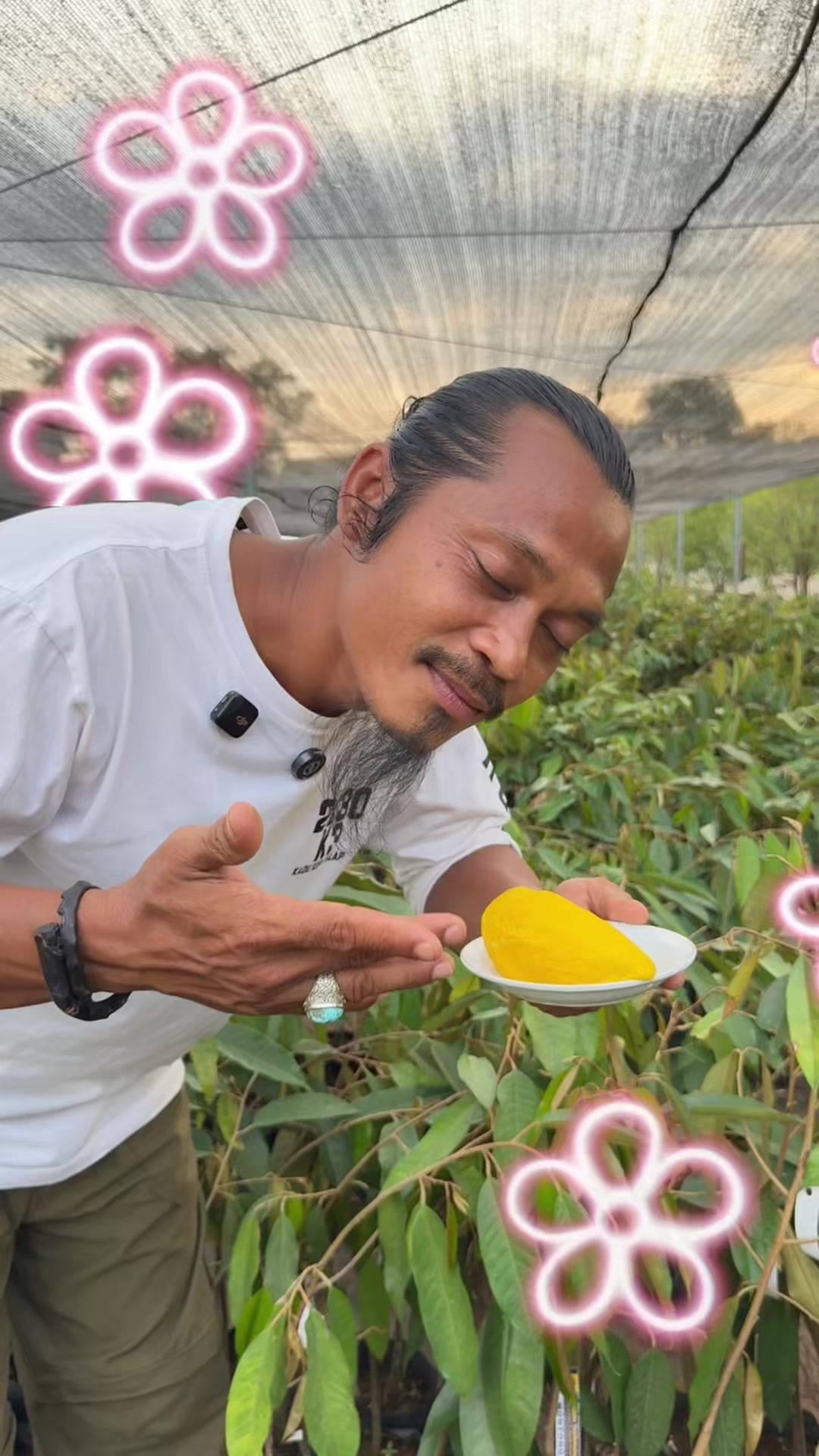 @AA KADU