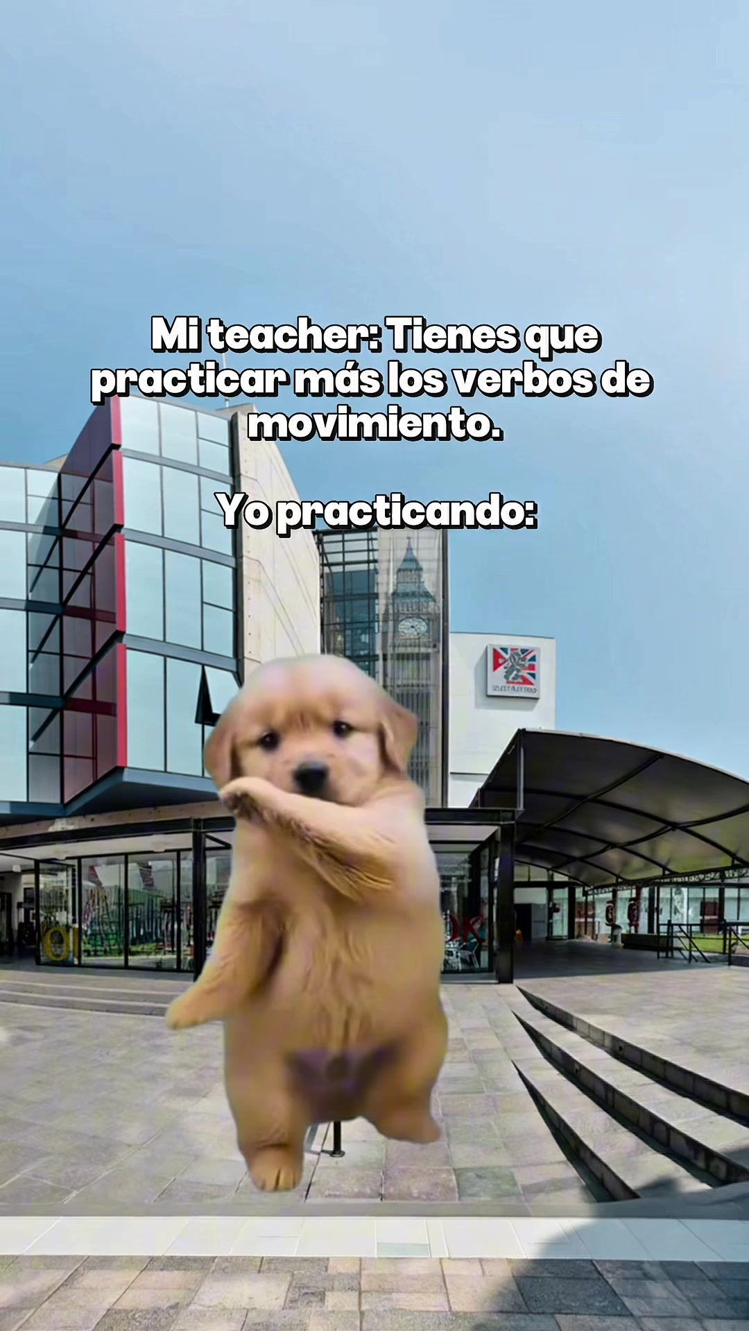 @Británico