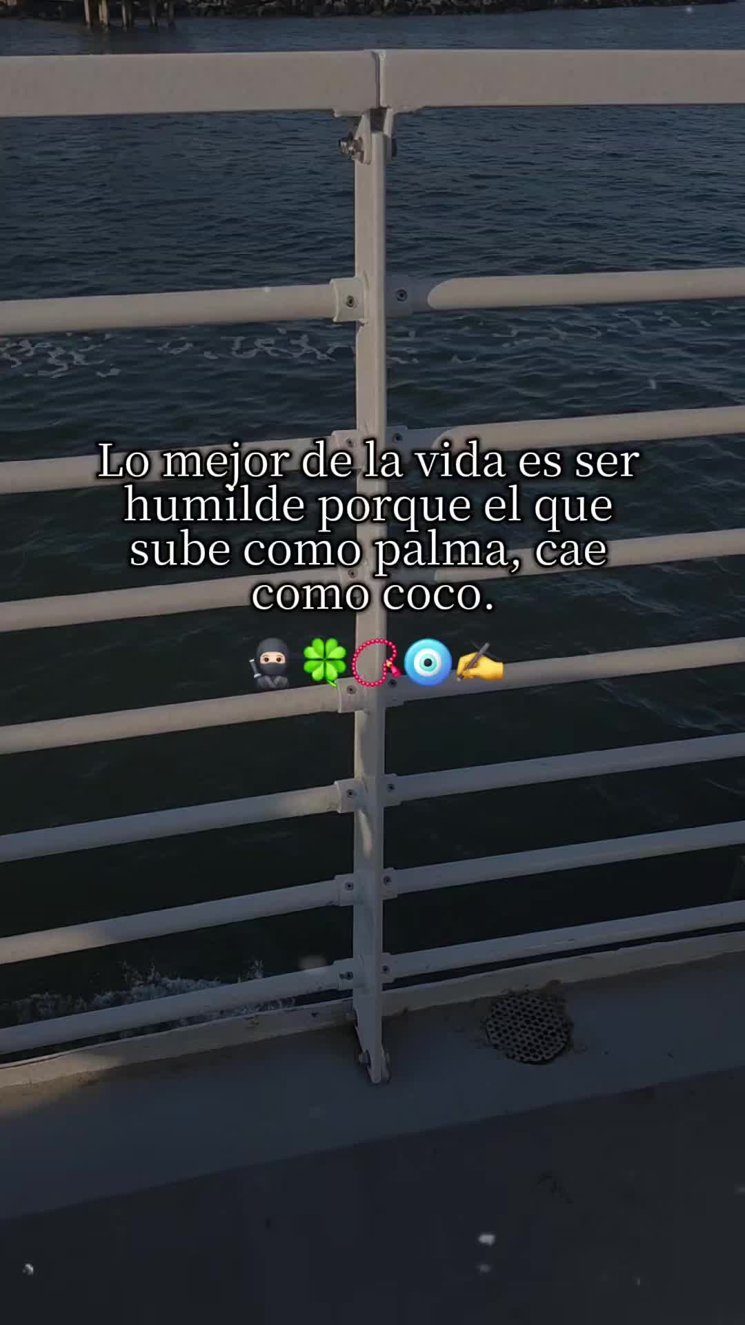 @Maribel Gallardo