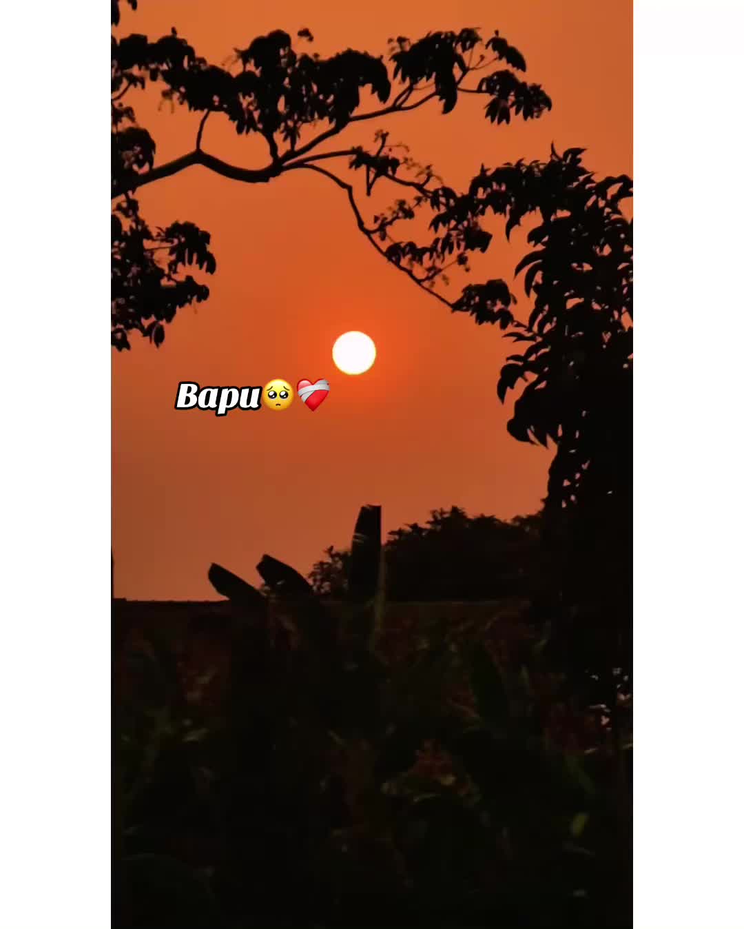 @⚜️𝐊𝐇𝐎𝐊𝐇𝐀𝐑❤️🩹