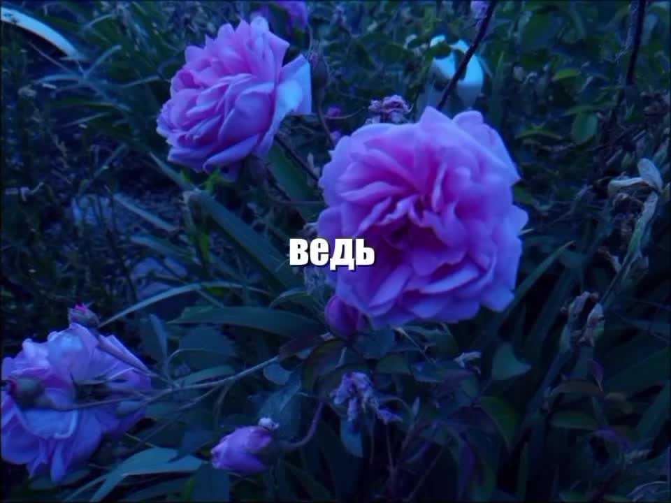 @baby.ew