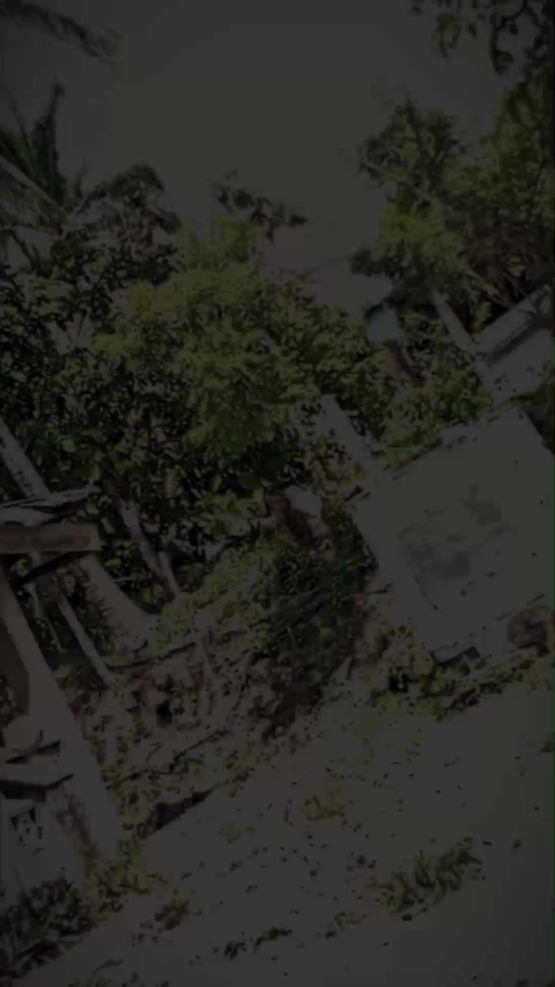 @𝙅𝐴𝙔2_𝙀𝐷𝙄𝑇𝙎