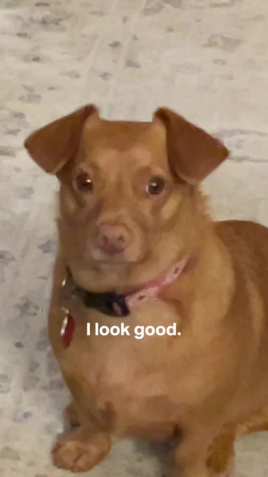 @Rachel