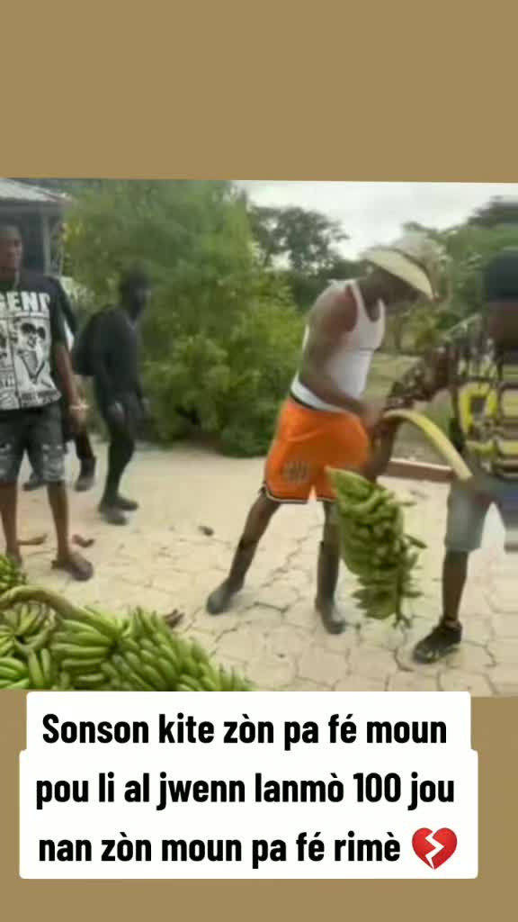 @alishafanmokap 🇧🇷🇭🇹🇧🇷