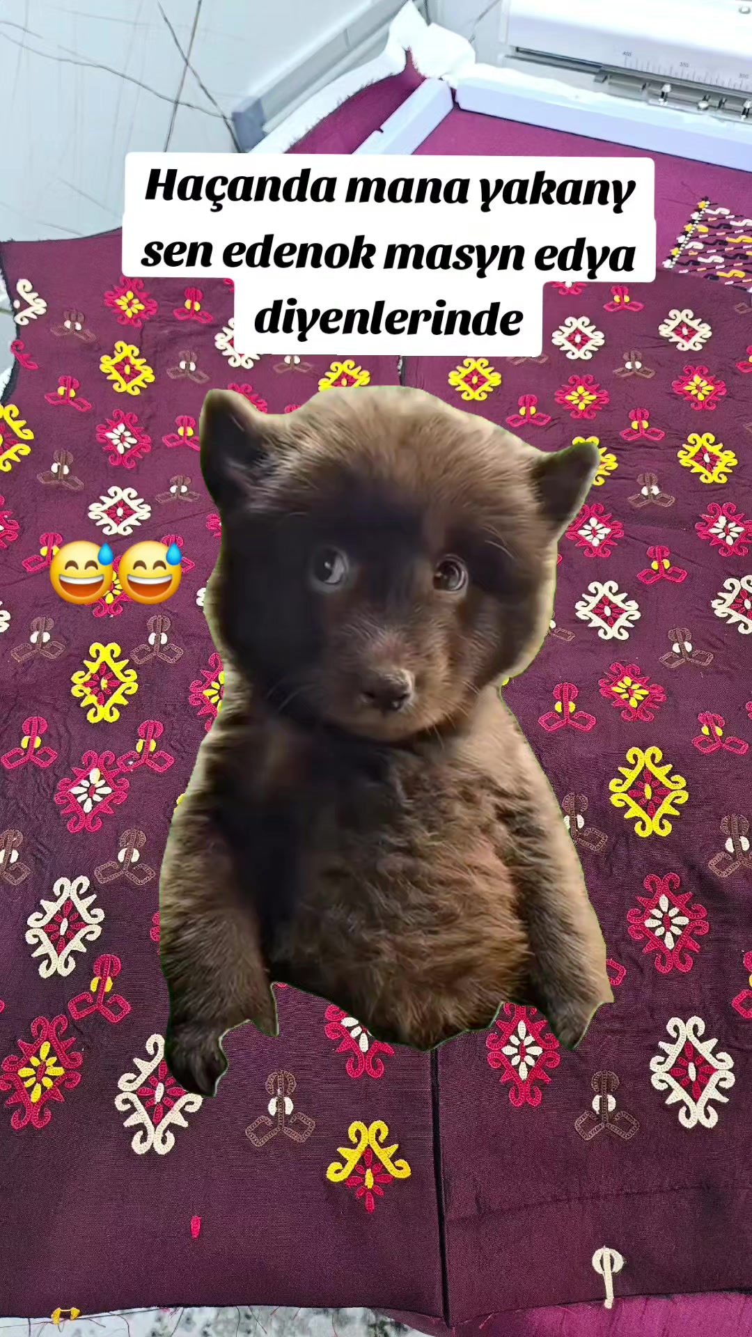 @JenNur &sup1;⁵i&ntilde;&ntilde;e &yacute;akalar