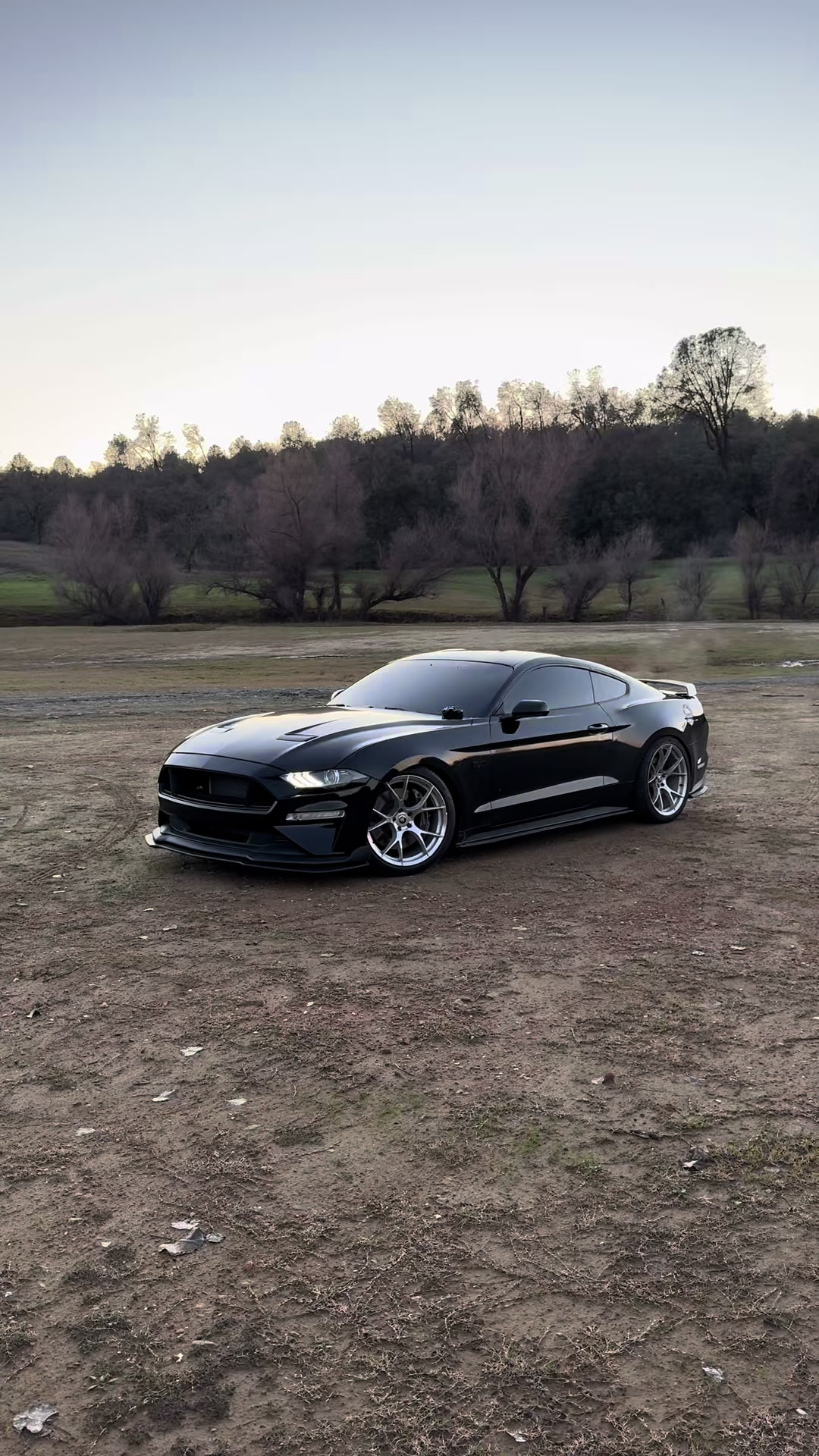 @Carlost
