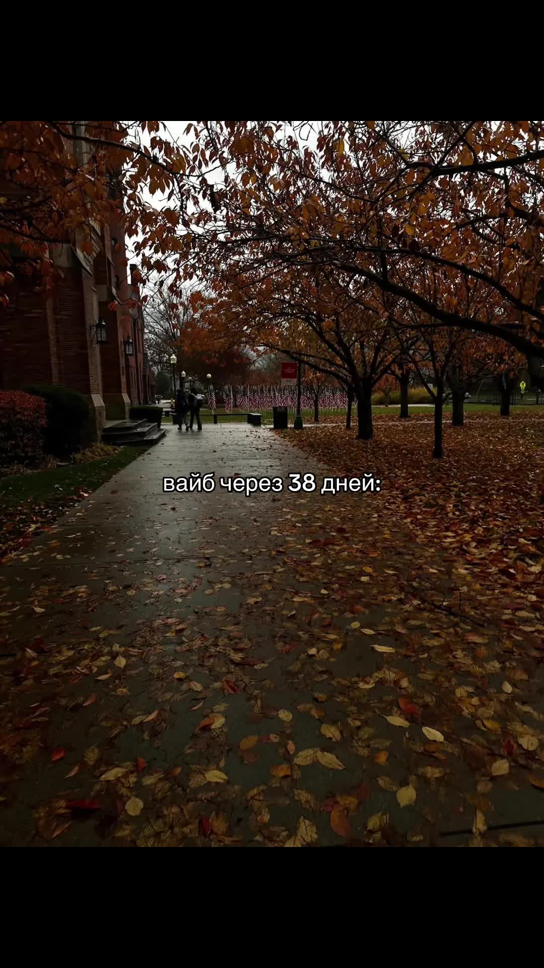 @бьюти ай 🤍