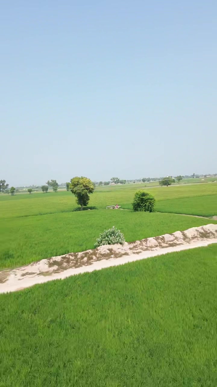 @فریاد کالوکاوٹو