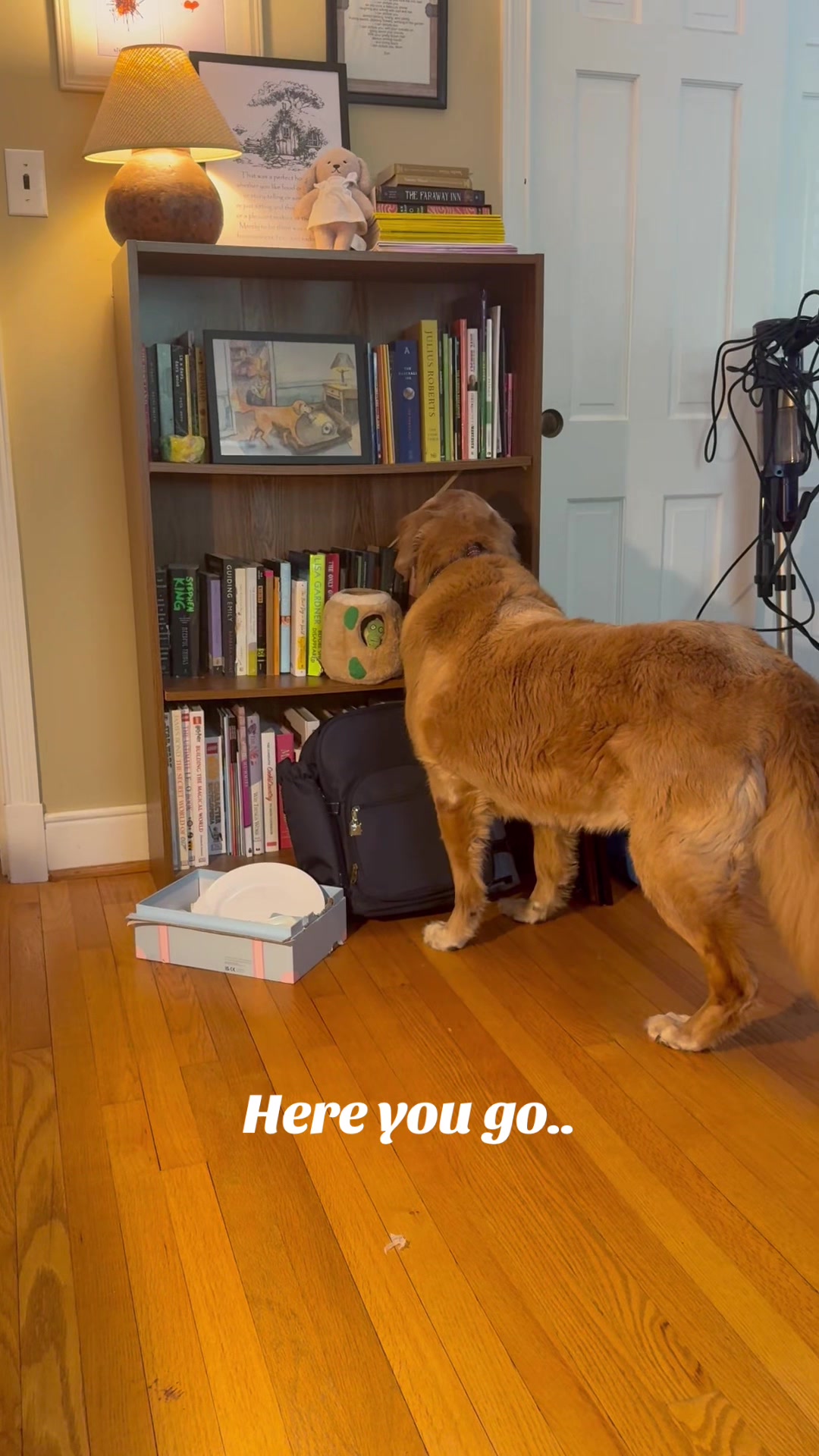 @lifewithduke2025