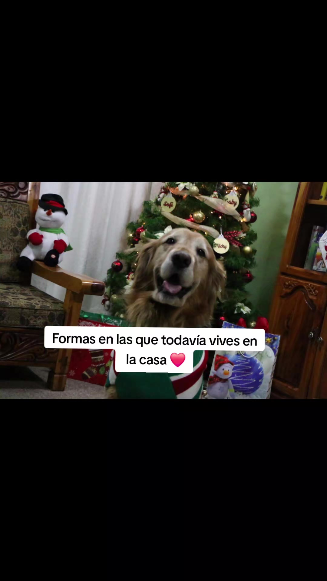 @Alvin Doradito 🐕