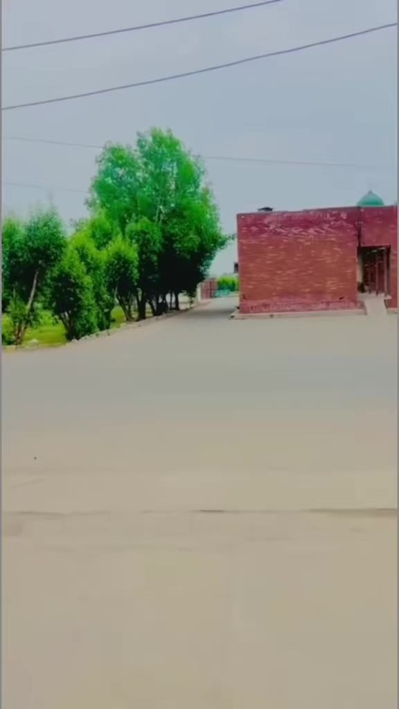 @⛓چوہدری سلمان وینس 🦁