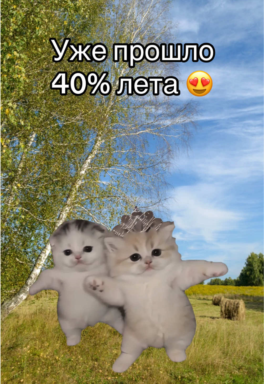 @Aviasales Беларусь
