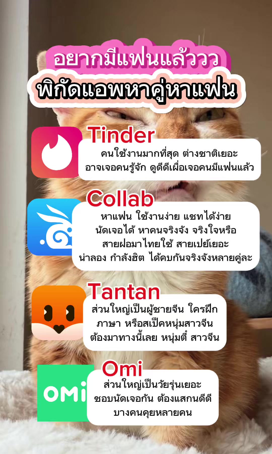 @Collab คนเหงา