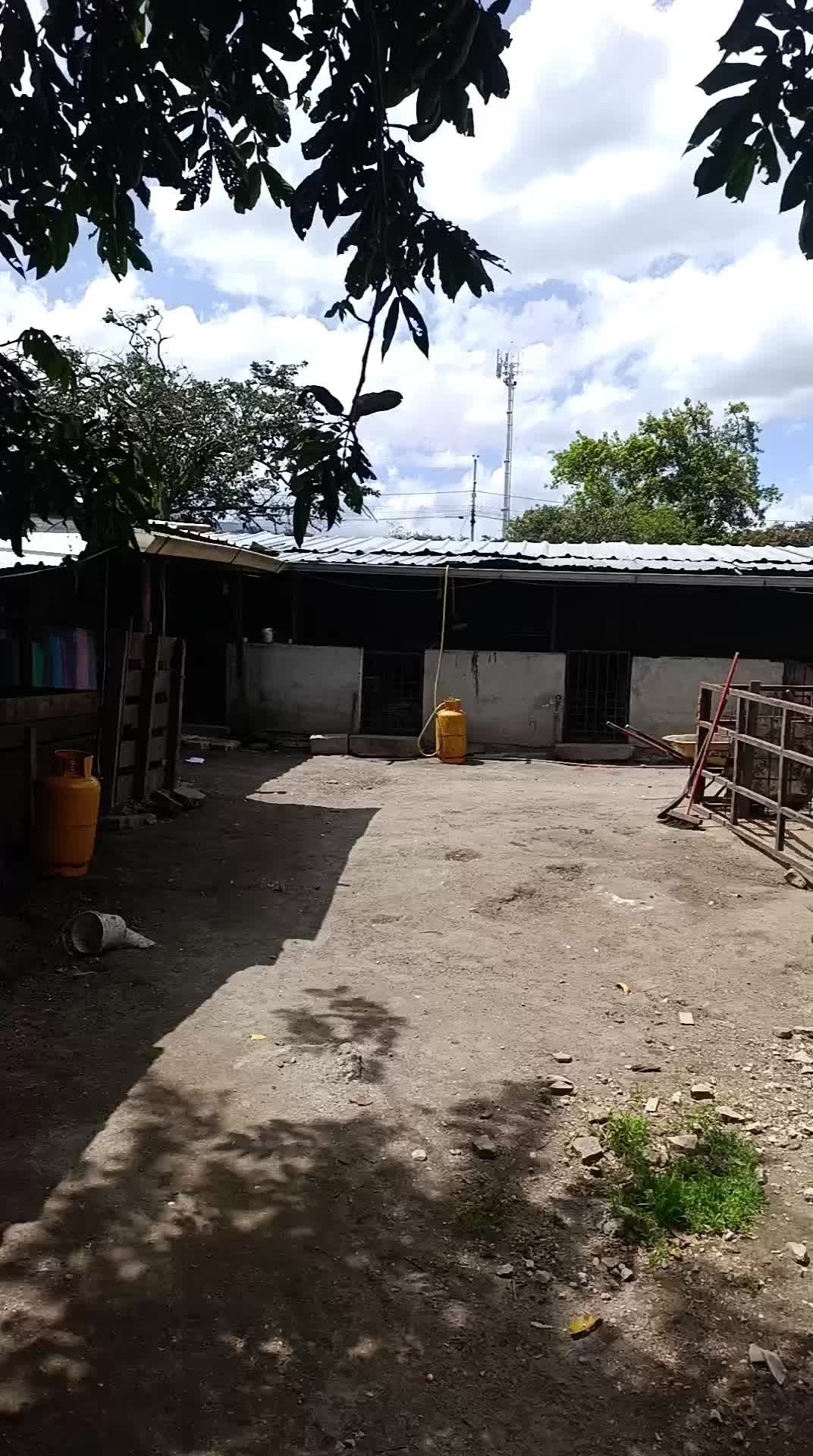 @Granja Porcina Guz