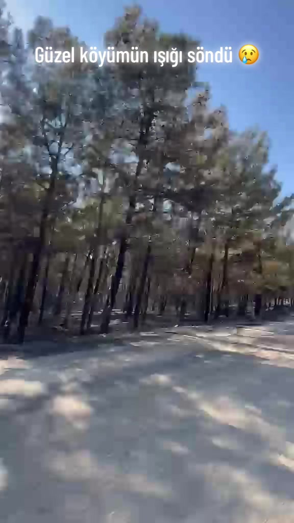 @busesr1