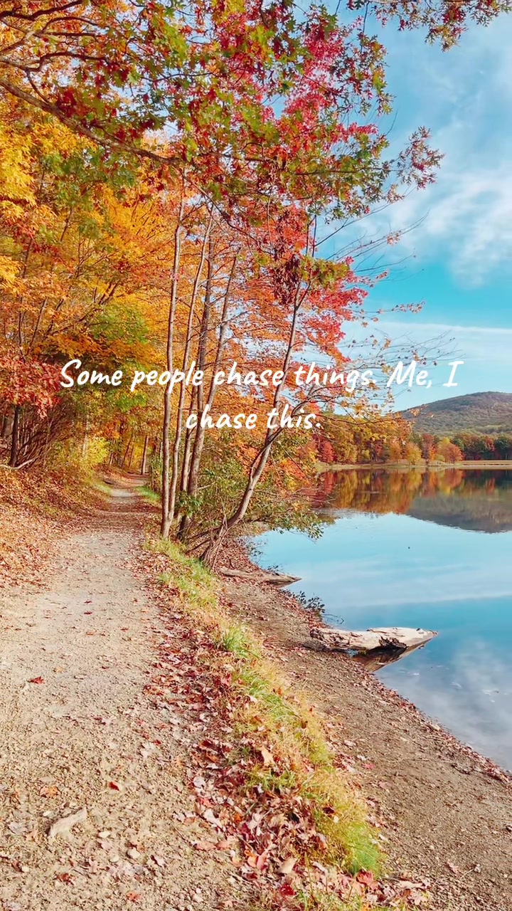 @cedarpineacres