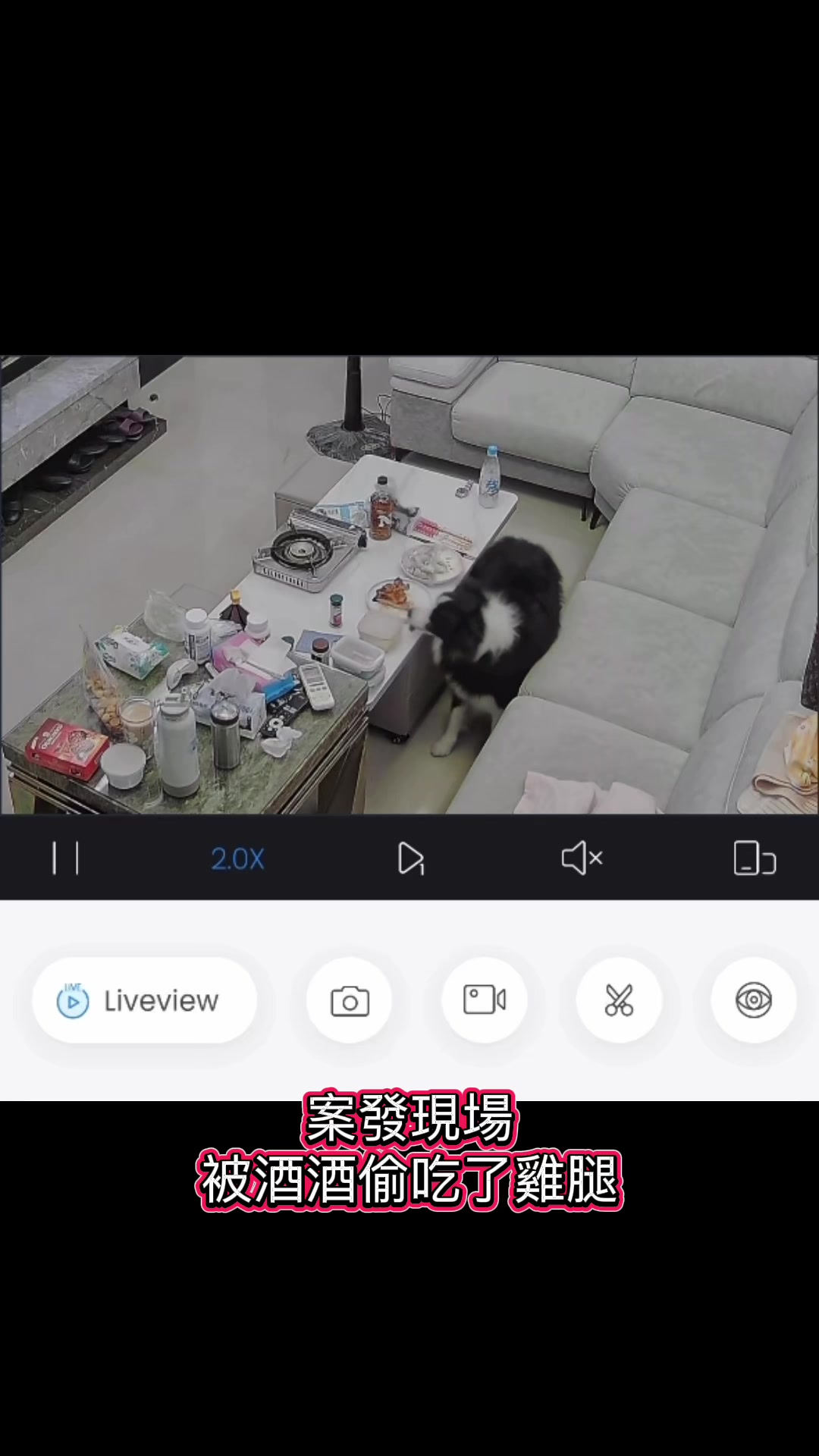 @酒仙建呈-美酒美食品味人生