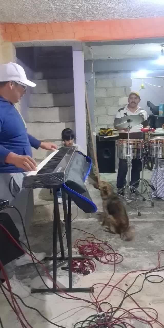 @Elking Medina 🎼🎙️