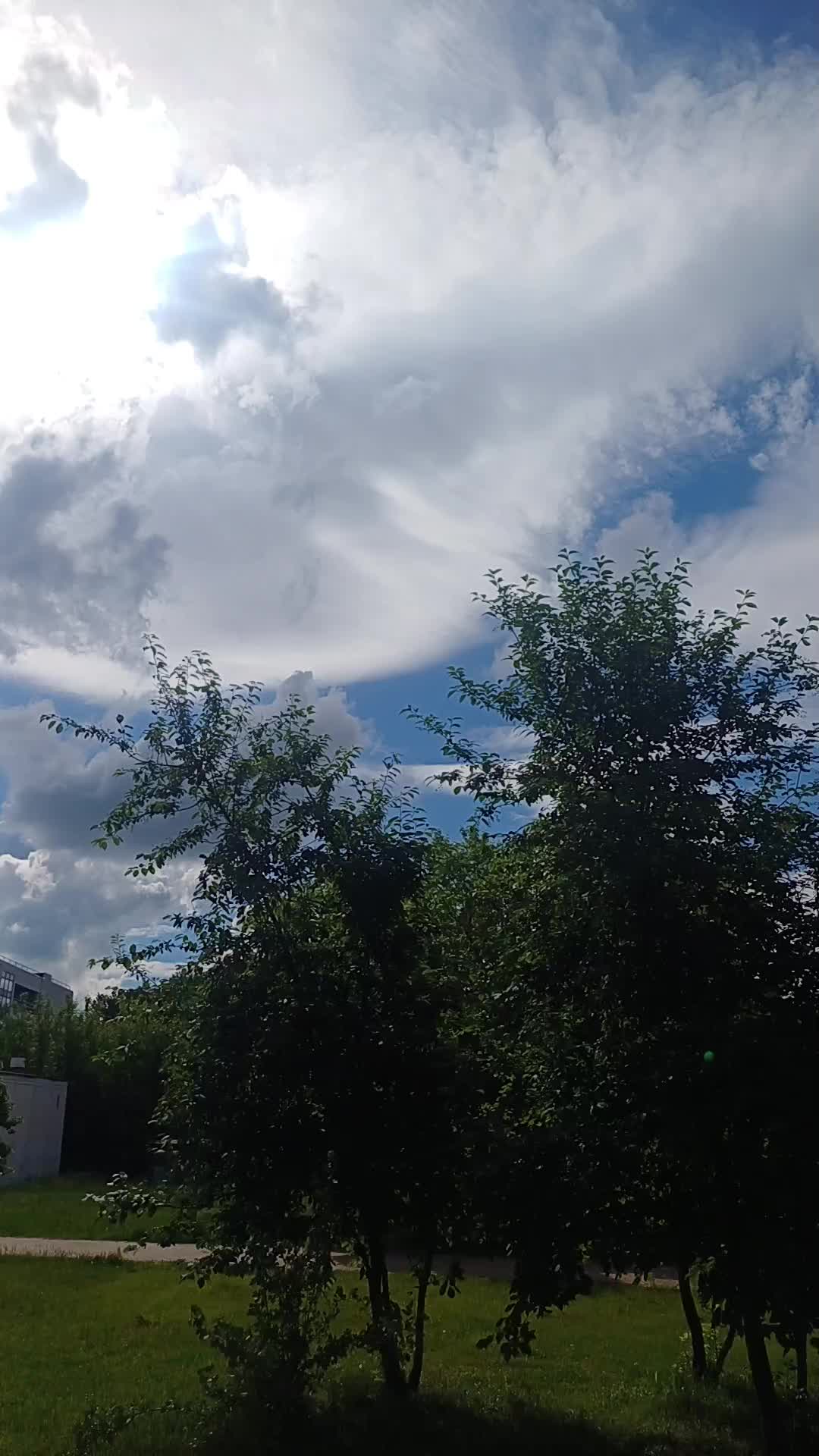 @Незабудка