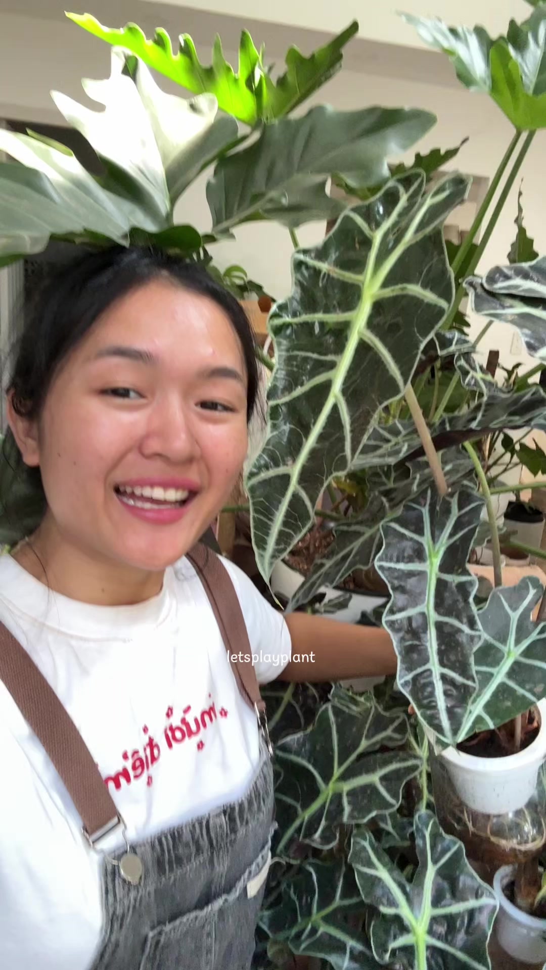 @Tú Nhi - Let's play plant