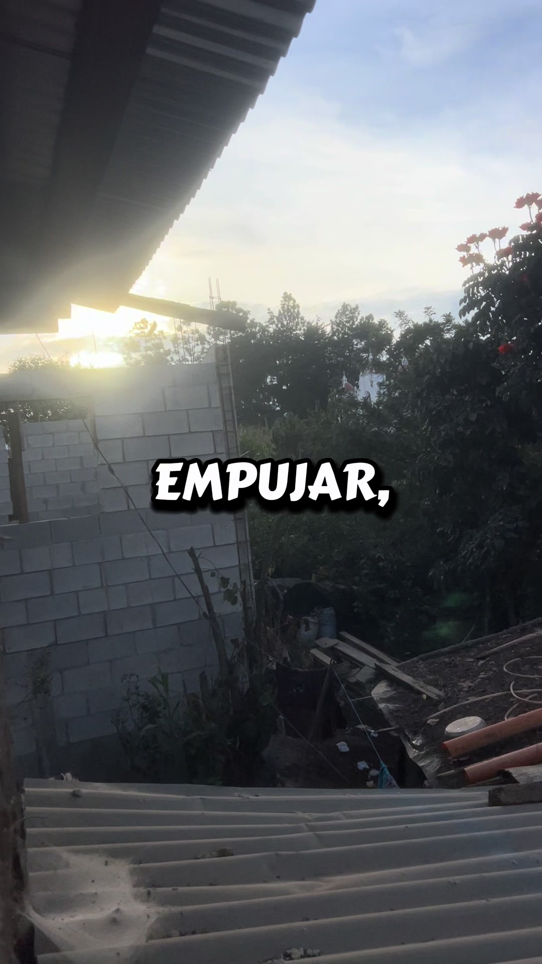 @BENJI.gt