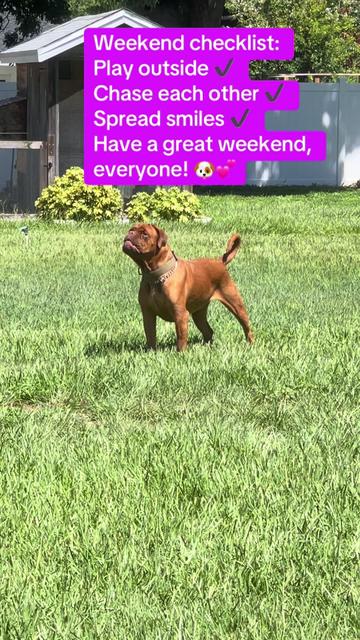@Cheryl dog mom