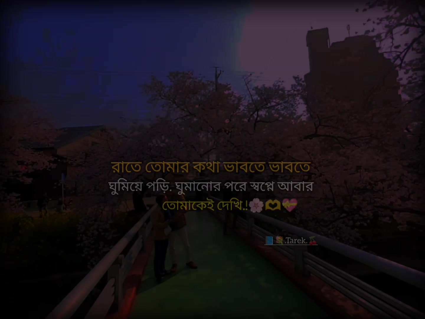 @📘💐•̩̩͙(+)Tคrek**•̩̩͙🍒🎋