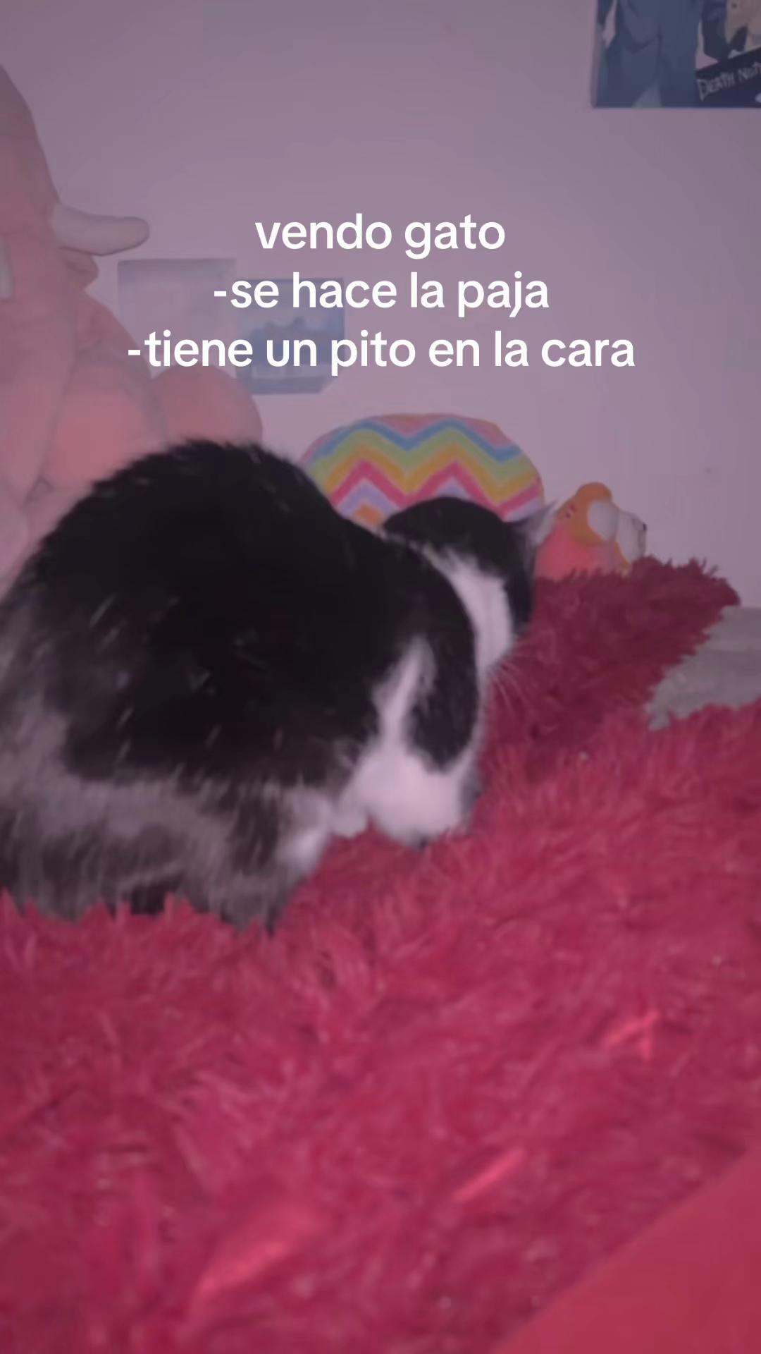 @𝖌 ࣪˖ ִֶཐི༏ཋྀ