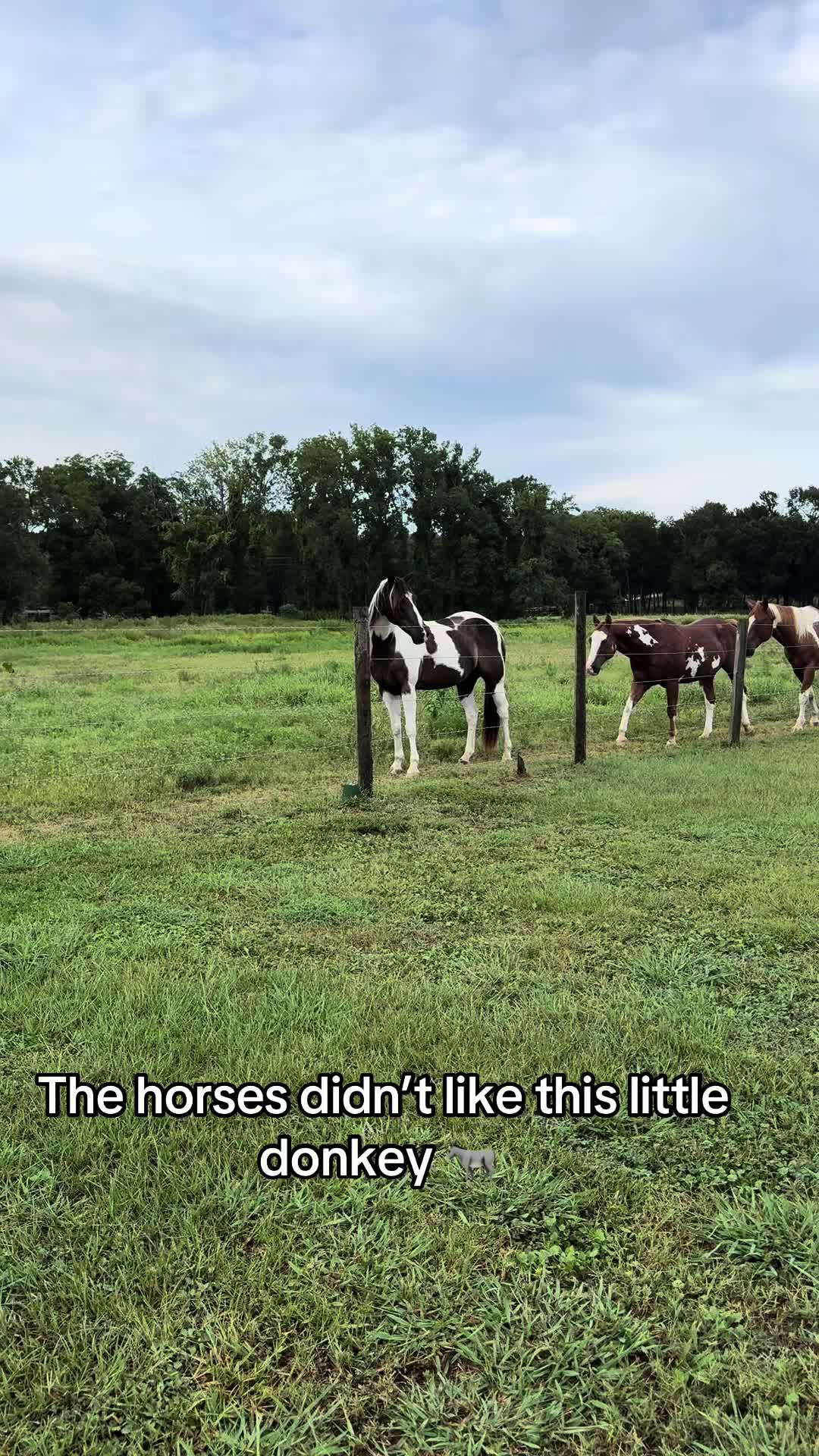 @bestlifetexas