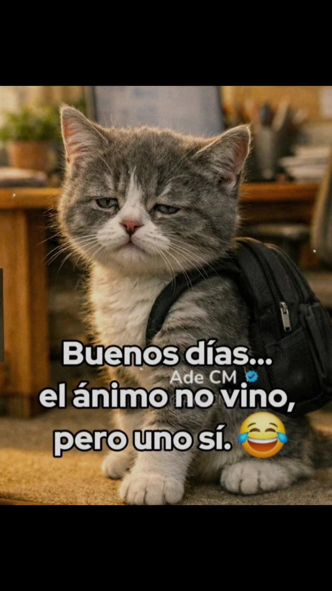 @Garcia anna