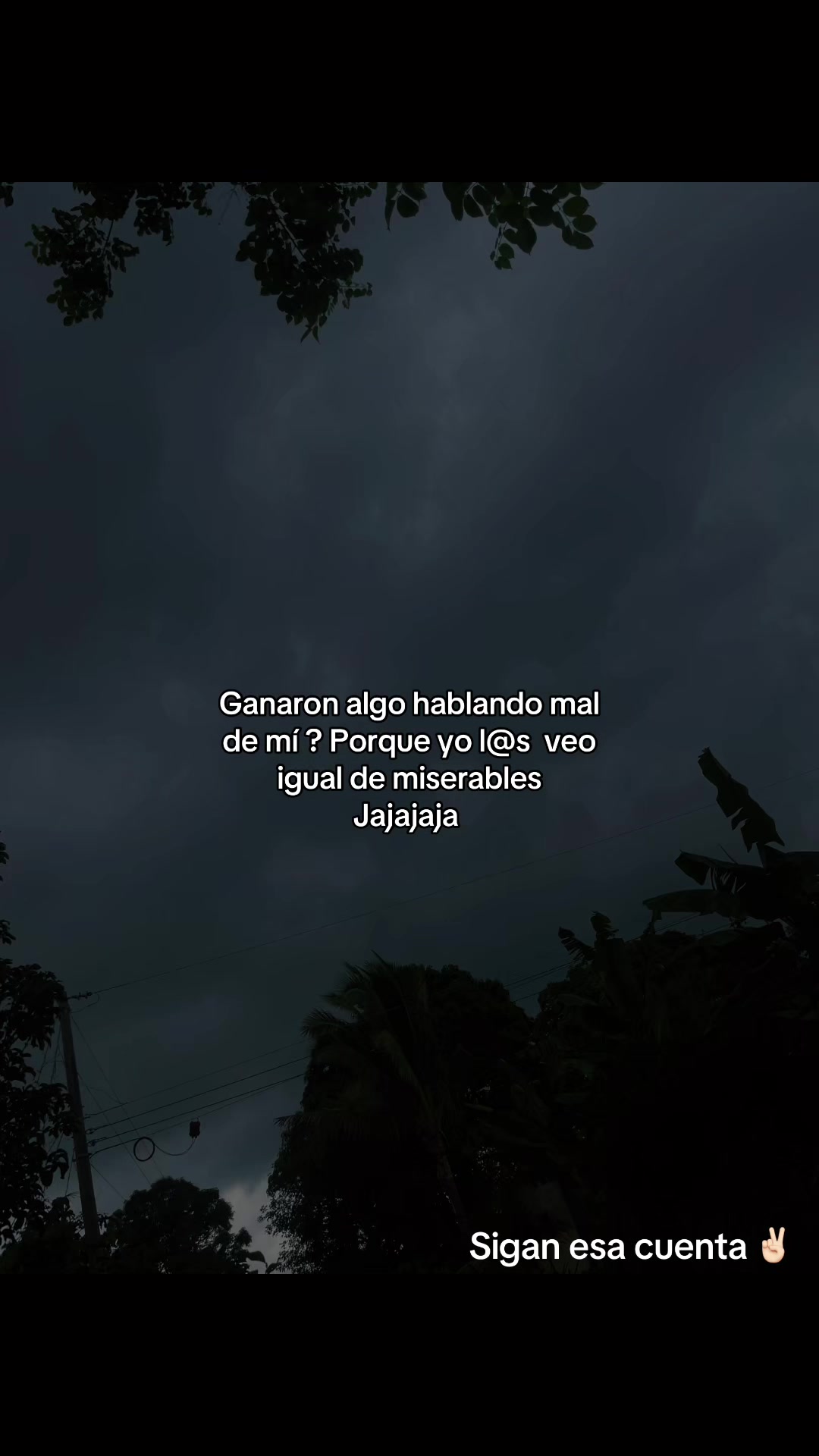 @_music_0384