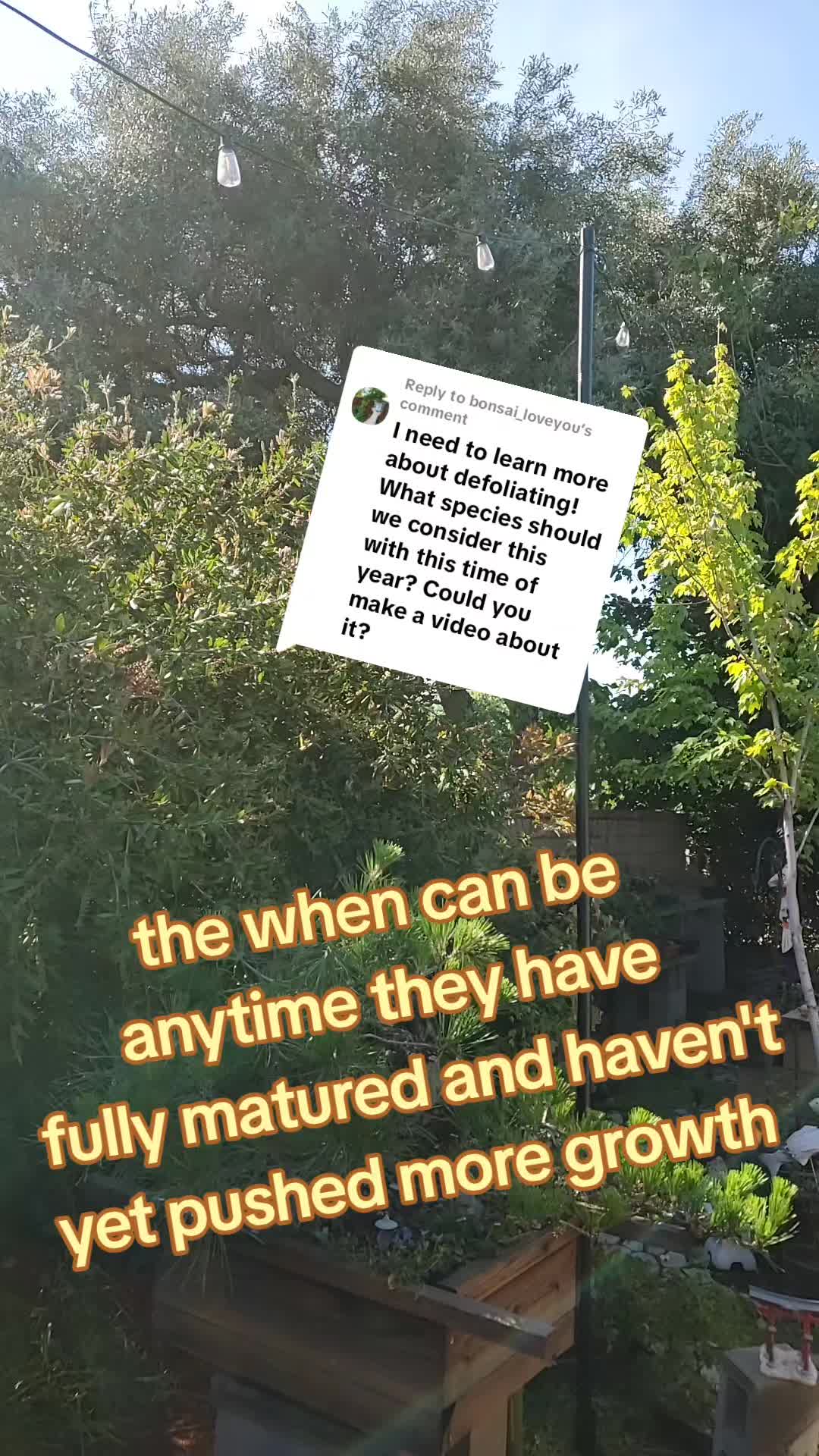 @BetaRayBill