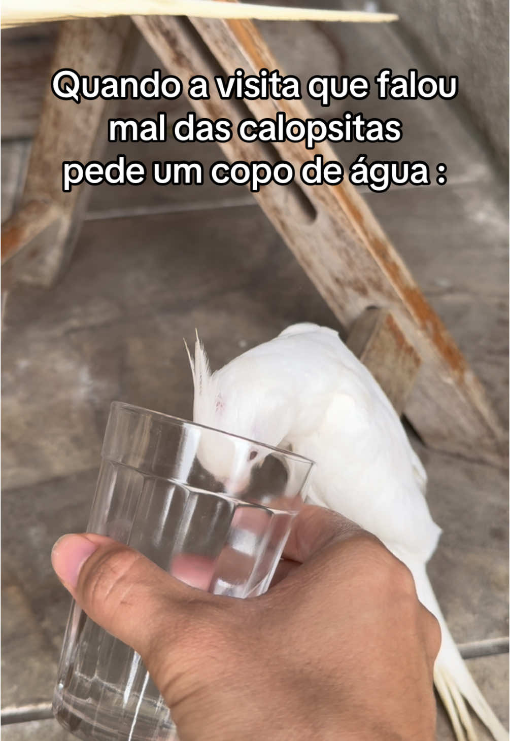 @Sessão Pipoca 🍿 🎥