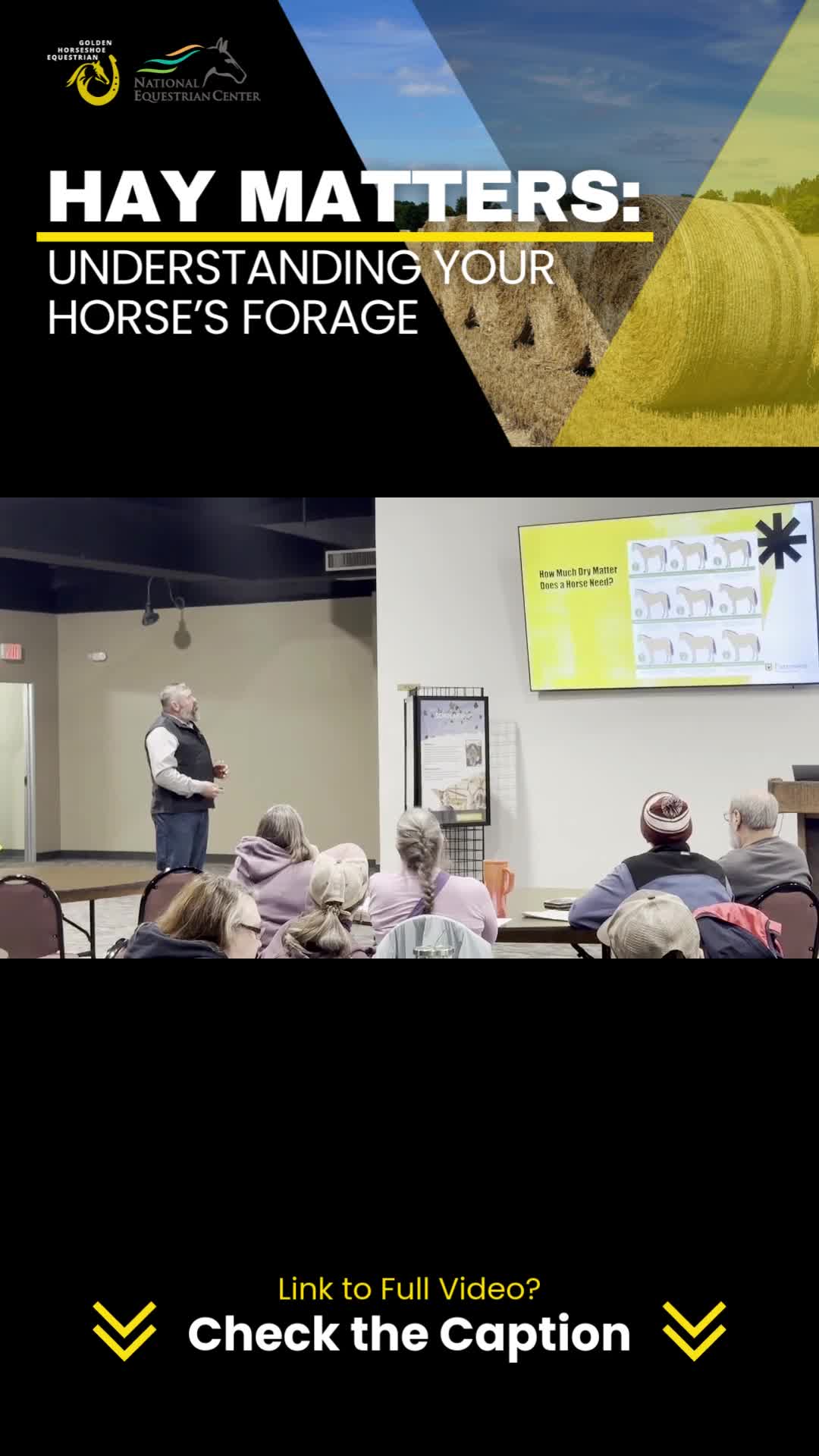 @Golden Horseshoe Equestrian